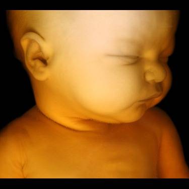 Photo 5 from WOMEN'S HELP CENTER