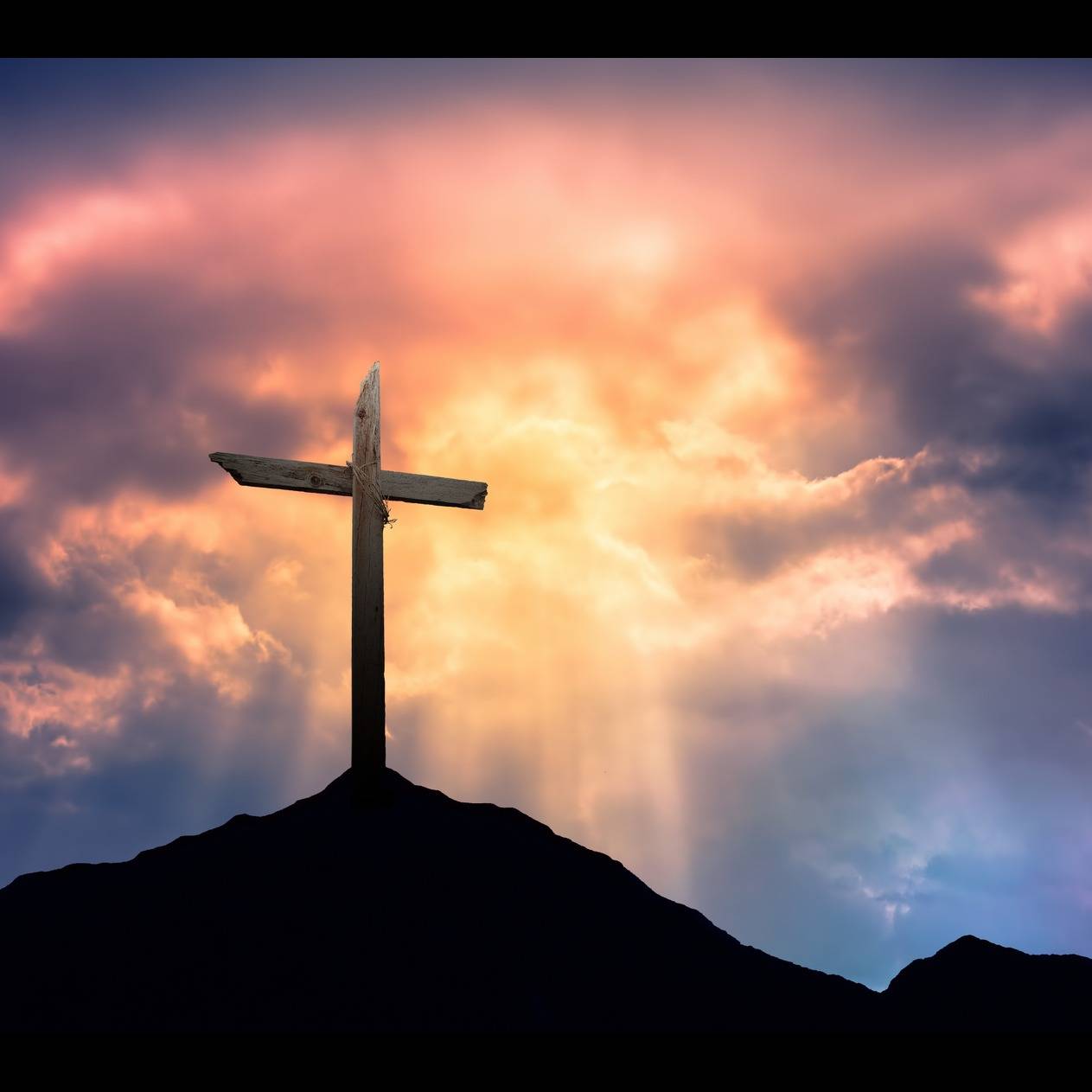 Photo 6 from WOMEN'S HELP CENTER