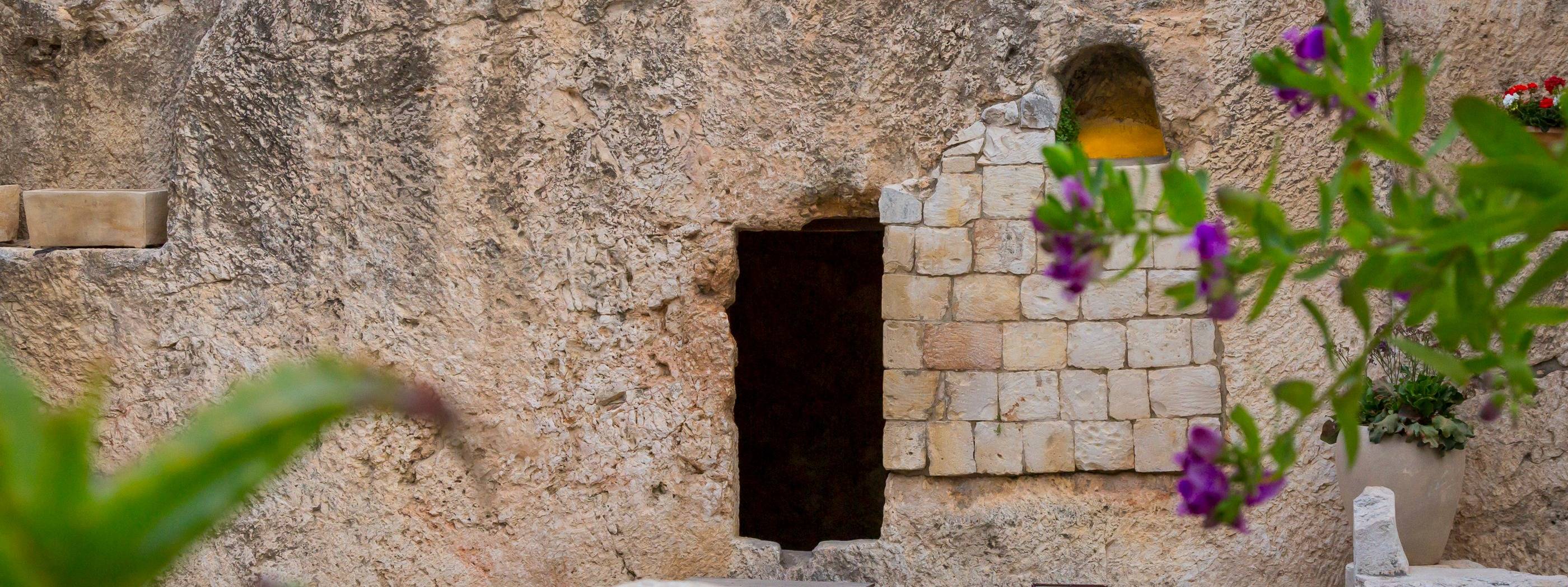 WORLD VIDEO BIBLE SCHOOL