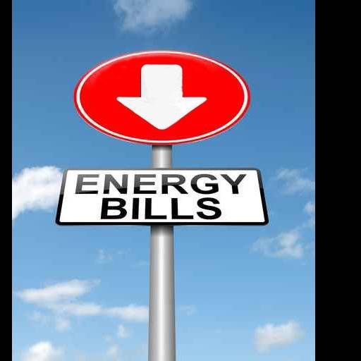 Photo 7 from ALLIANCE FOR AFFORDABLE ENERGY