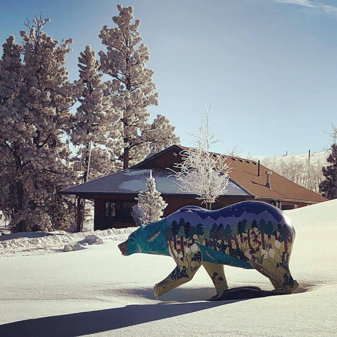 Photo 6 from Camp Mak-A-Dream (Children's Oncology Camp Foundation)