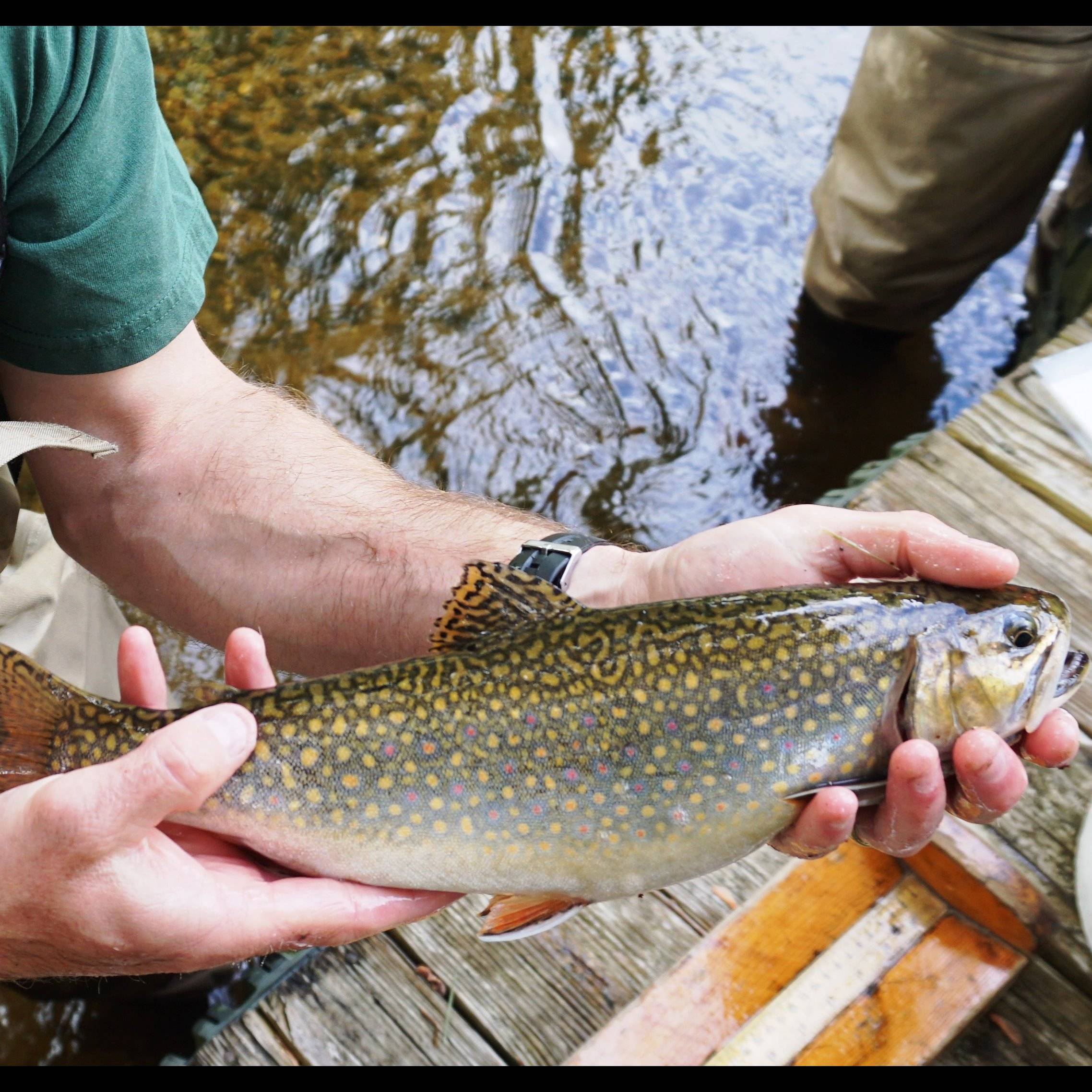 Photo 3 from CONSERVATION RESOURCE ALLIANCE