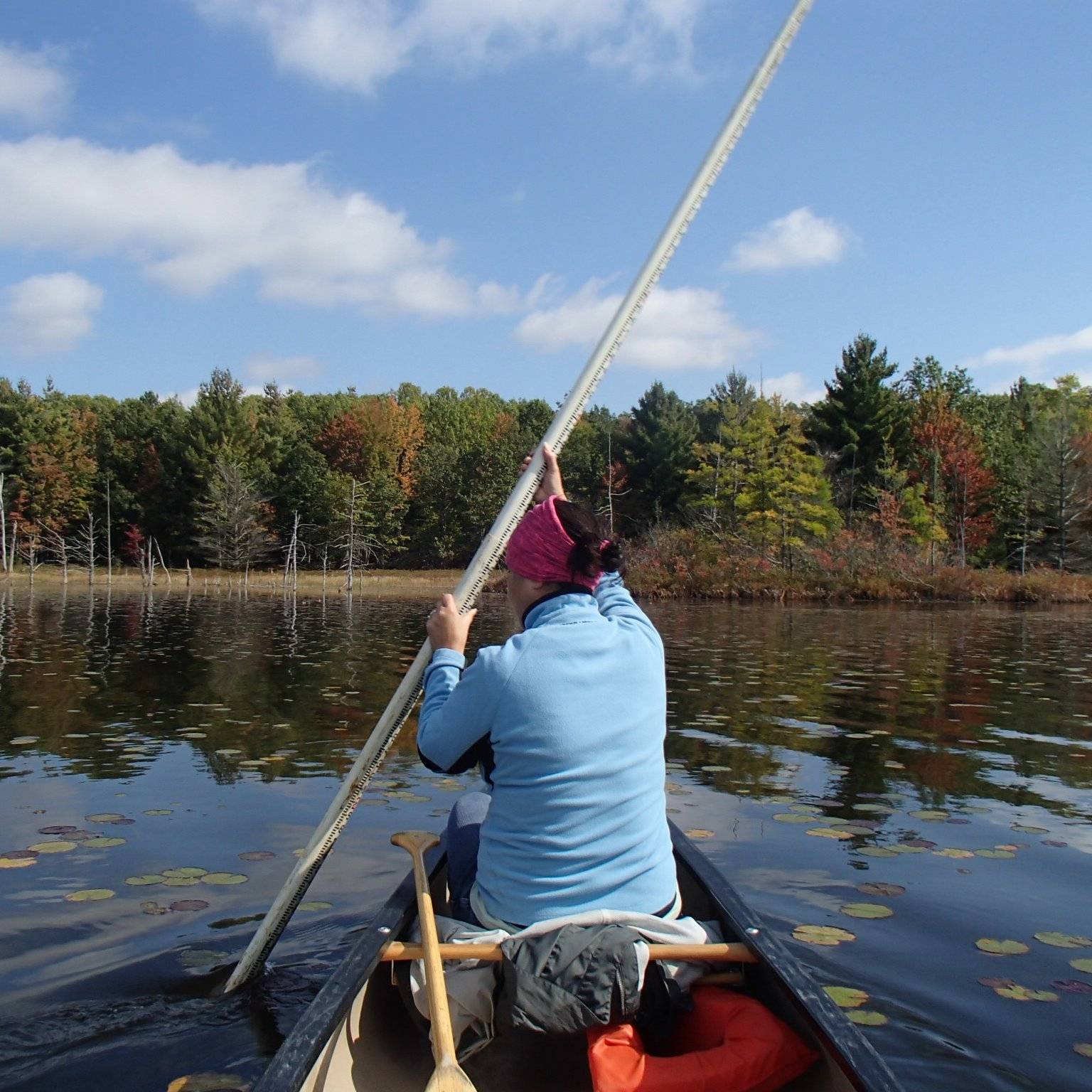 Photo 6 from CONSERVATION RESOURCE ALLIANCE