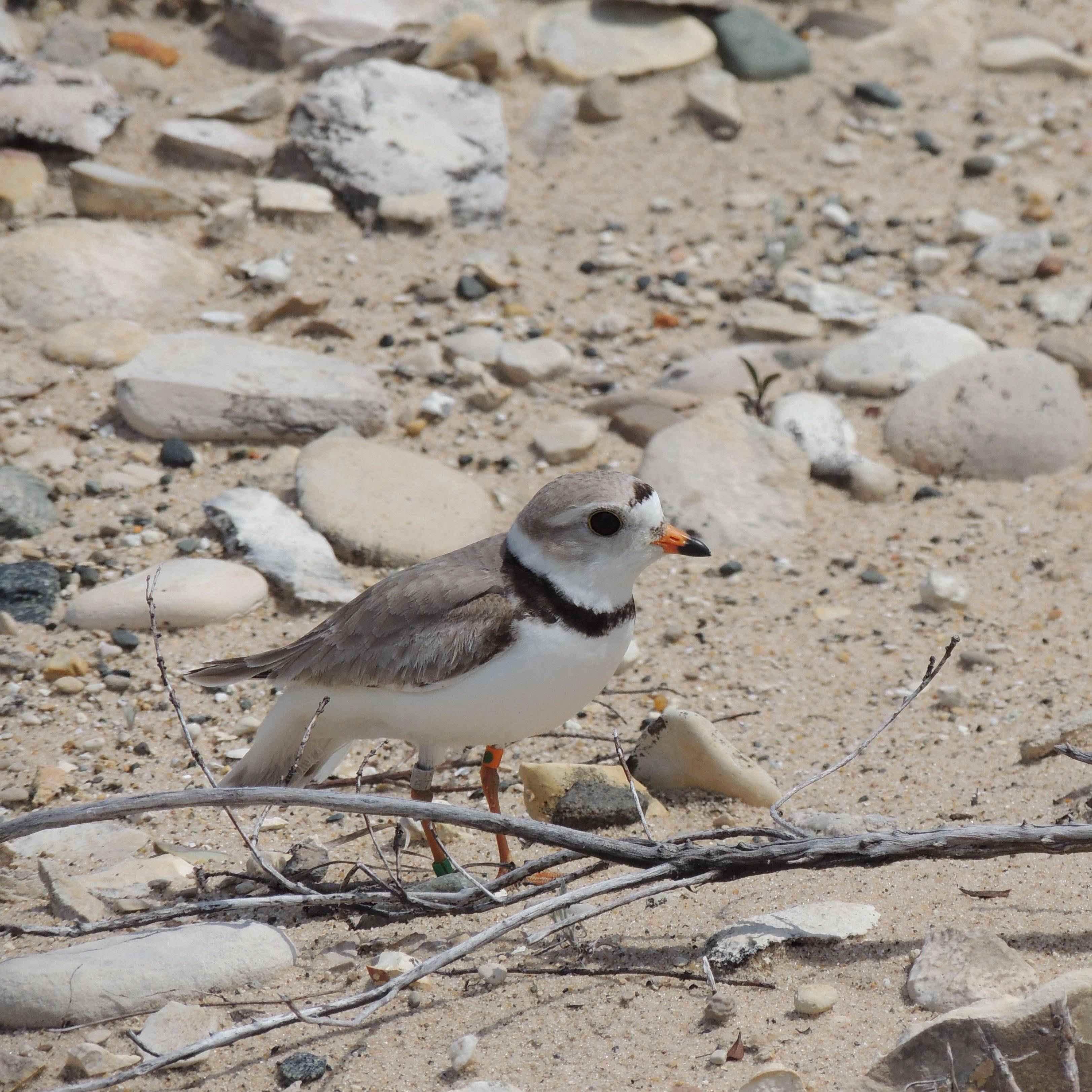 Photo 9 from CONSERVATION RESOURCE ALLIANCE