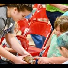 Photo 8 from Texas Wildlife Rehabilitation Coalition, Inc.