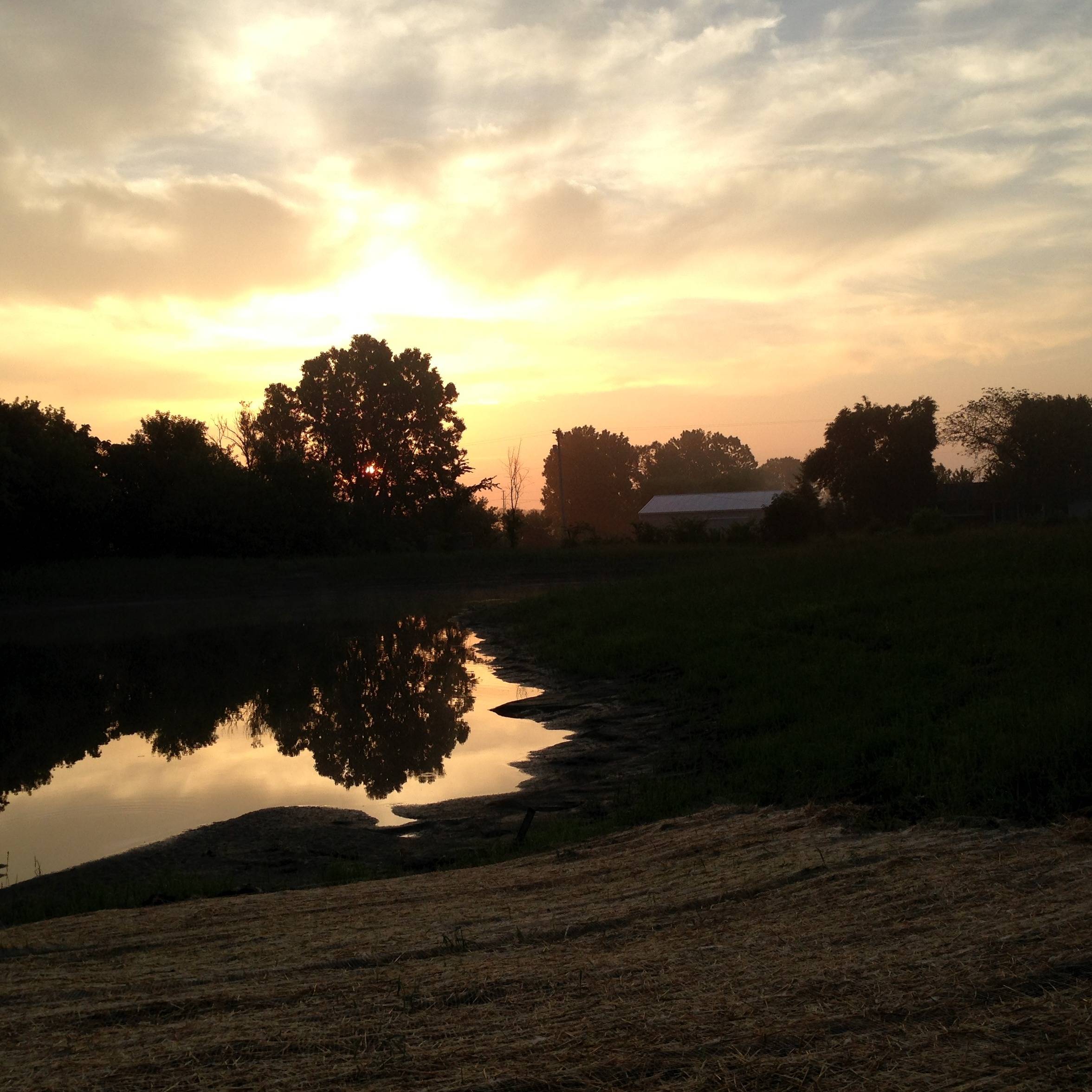 Photo 9 from BARNABAS MINISTRIES