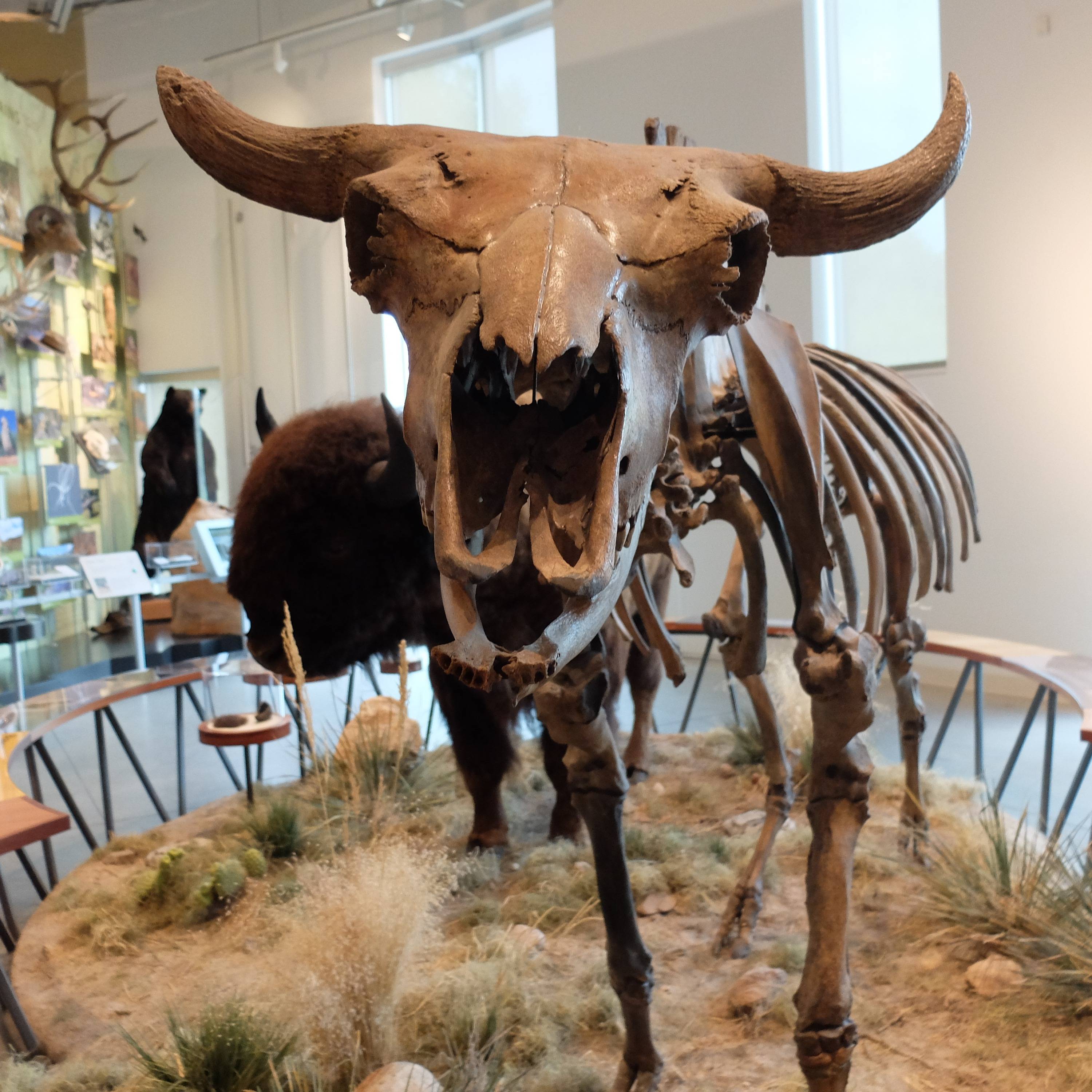 Photo 1 from Fort Collins Museum of Discovery