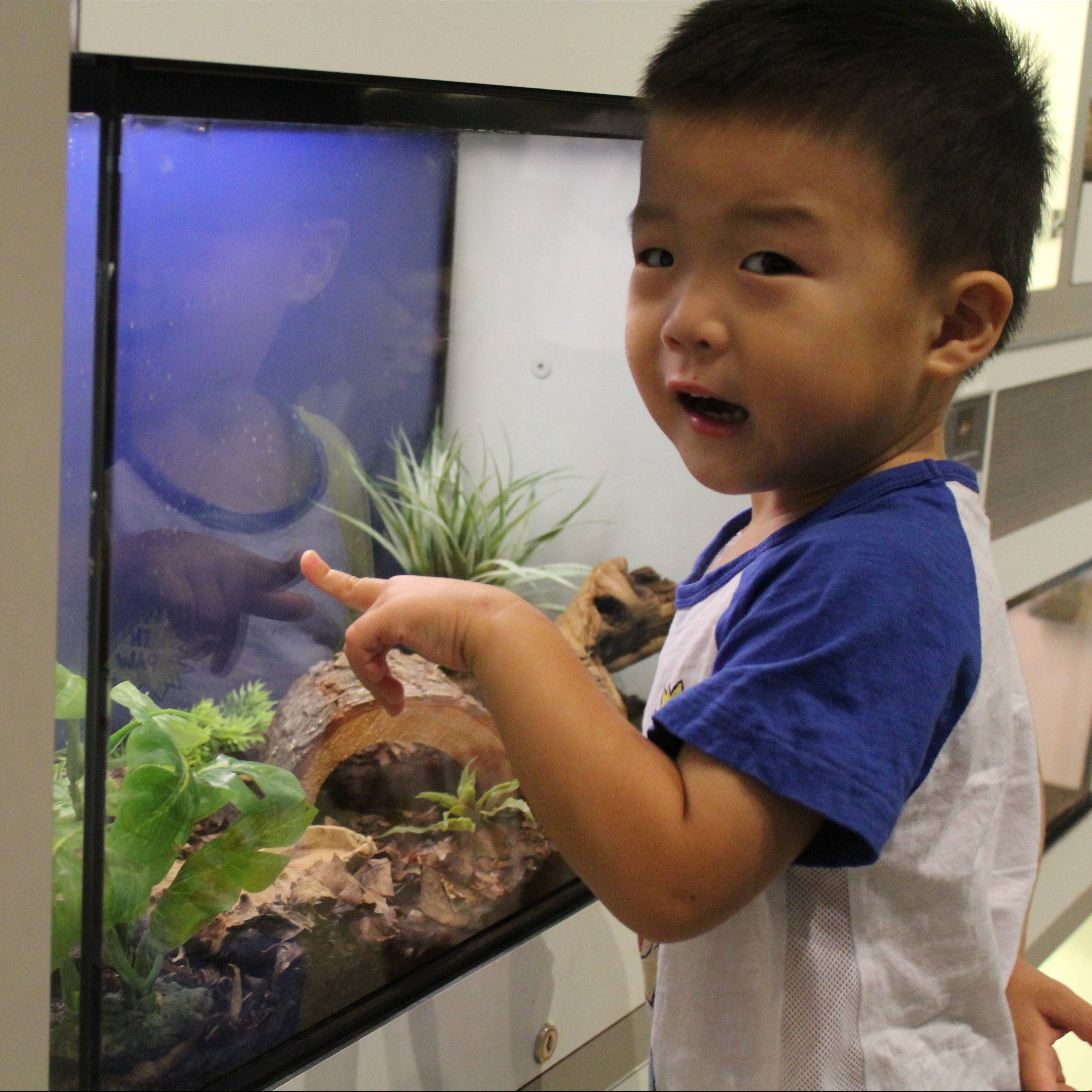 Photo 8 from Fort Collins Museum of Discovery