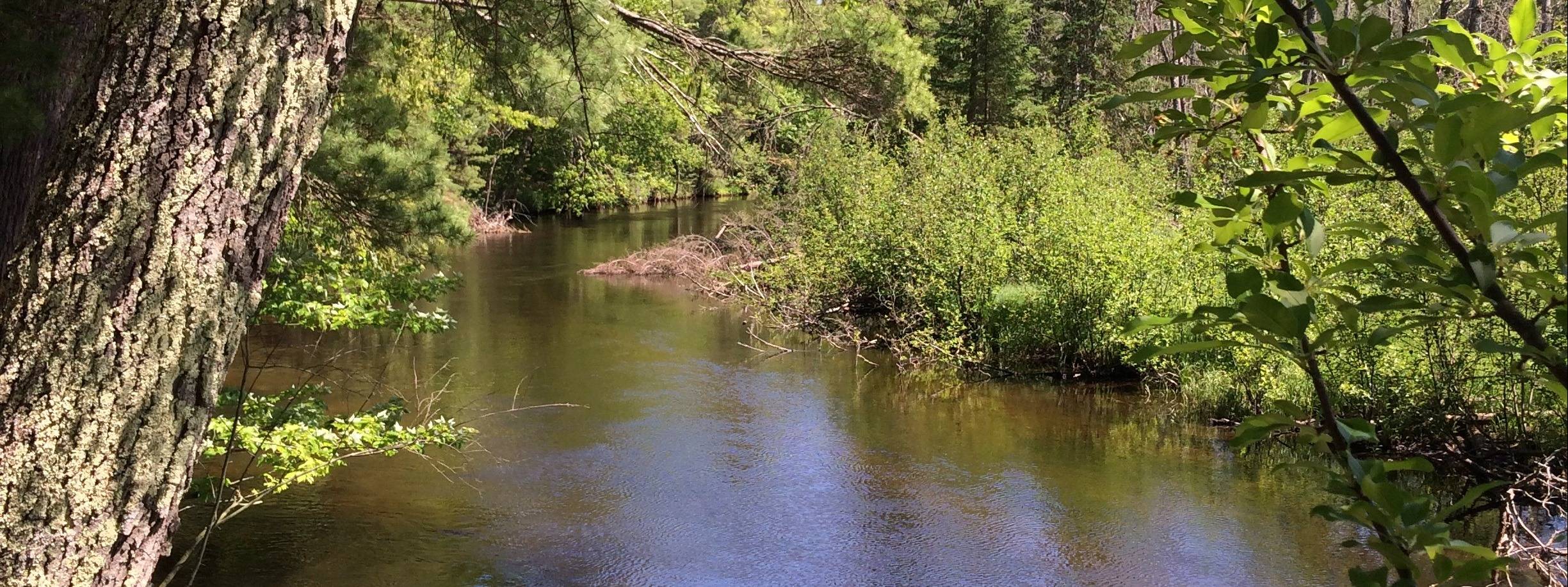 HEADWATERS LAND CONSERVANCY