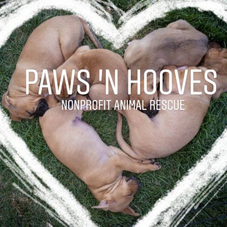 Paws 'N Hooves Black Forest Animal Sanctuary