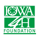 IOWA 4 H FOUNDATION