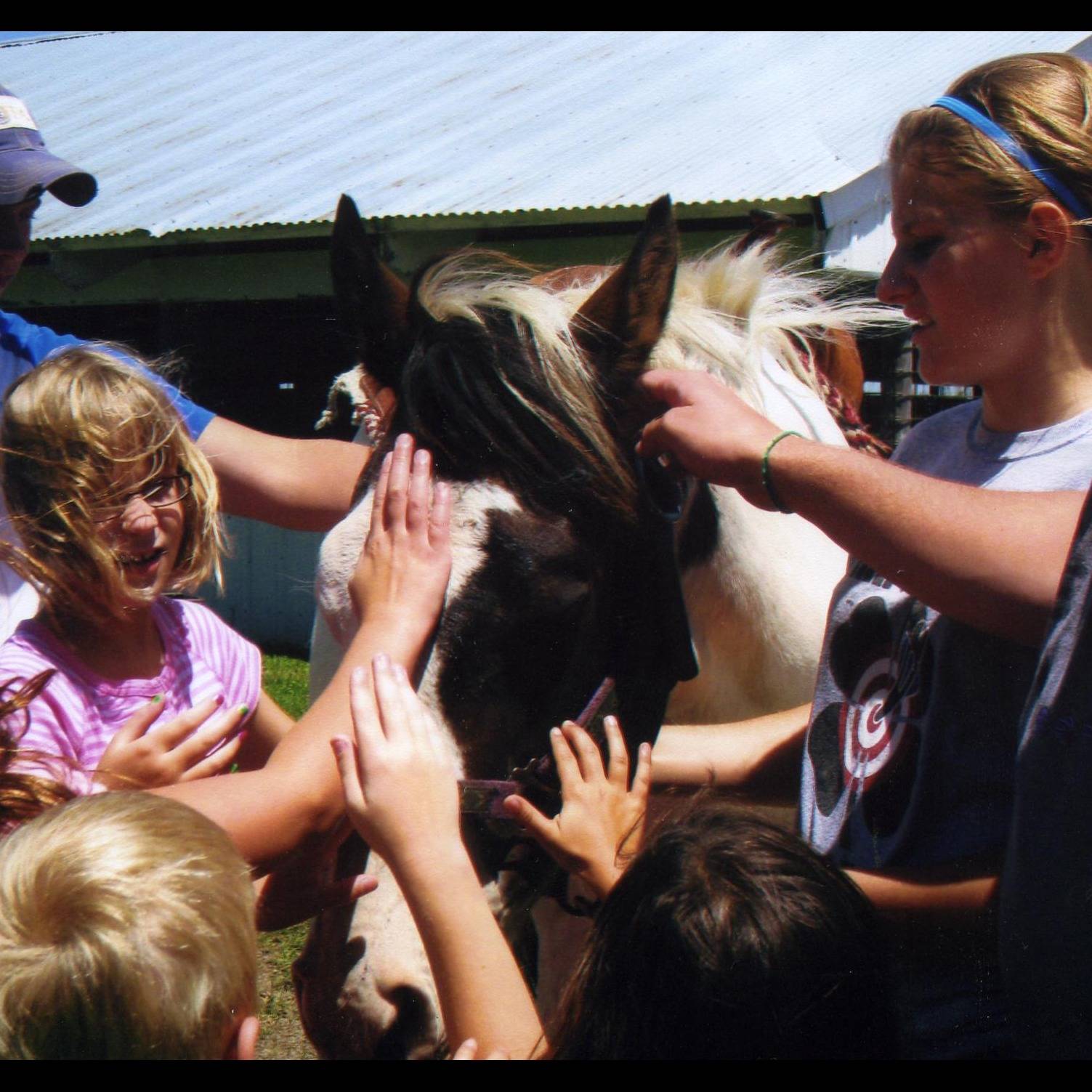 Photo 4 from IOWA 4 H FOUNDATION