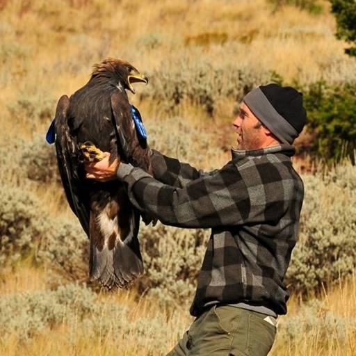 Photo 1 from RAPTOR VIEW RESEARCH INSTITUTE