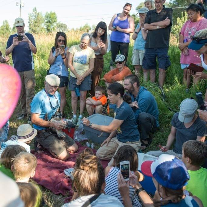 Photo 2 from RAPTOR VIEW RESEARCH INSTITUTE
