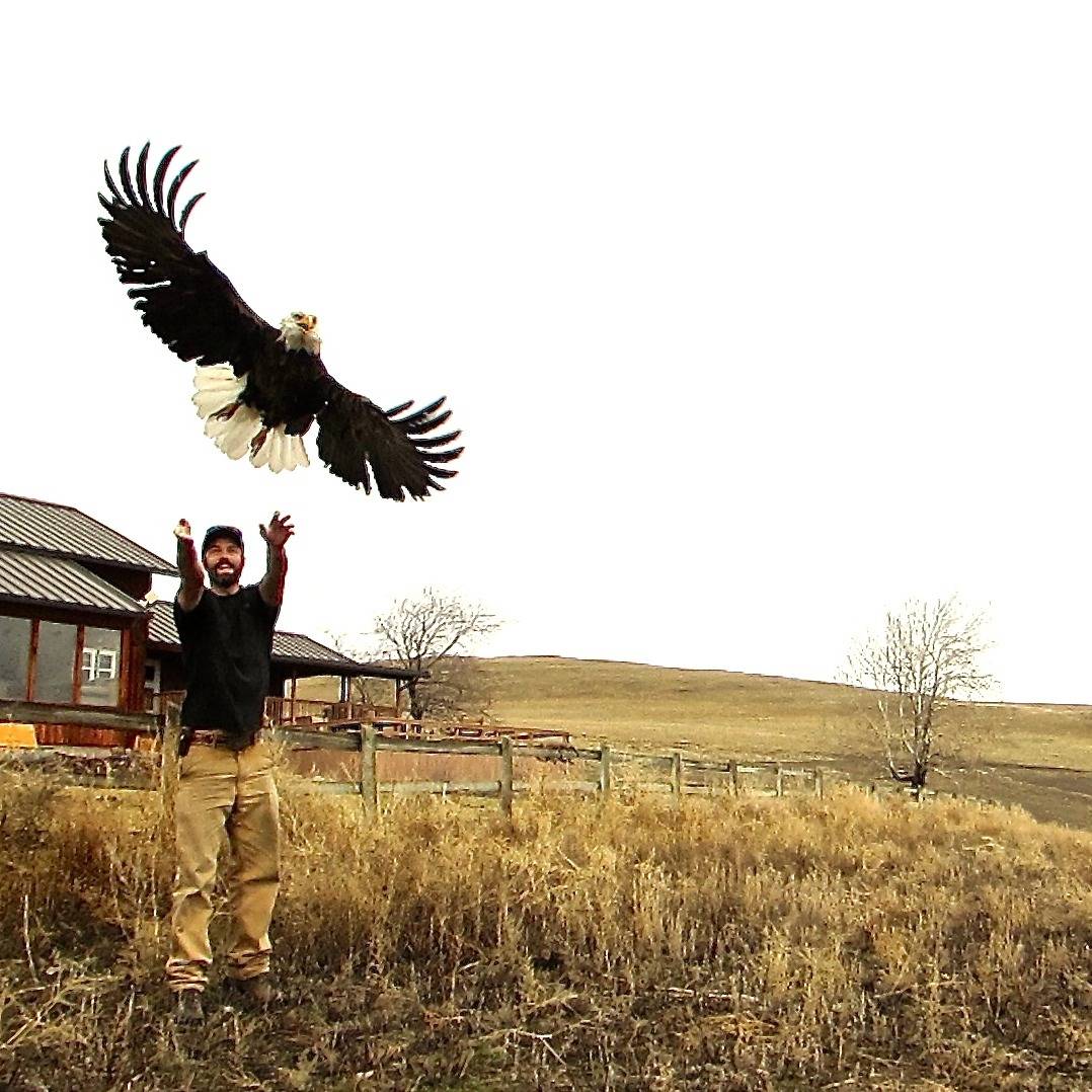 Photo 4 from RAPTOR VIEW RESEARCH INSTITUTE