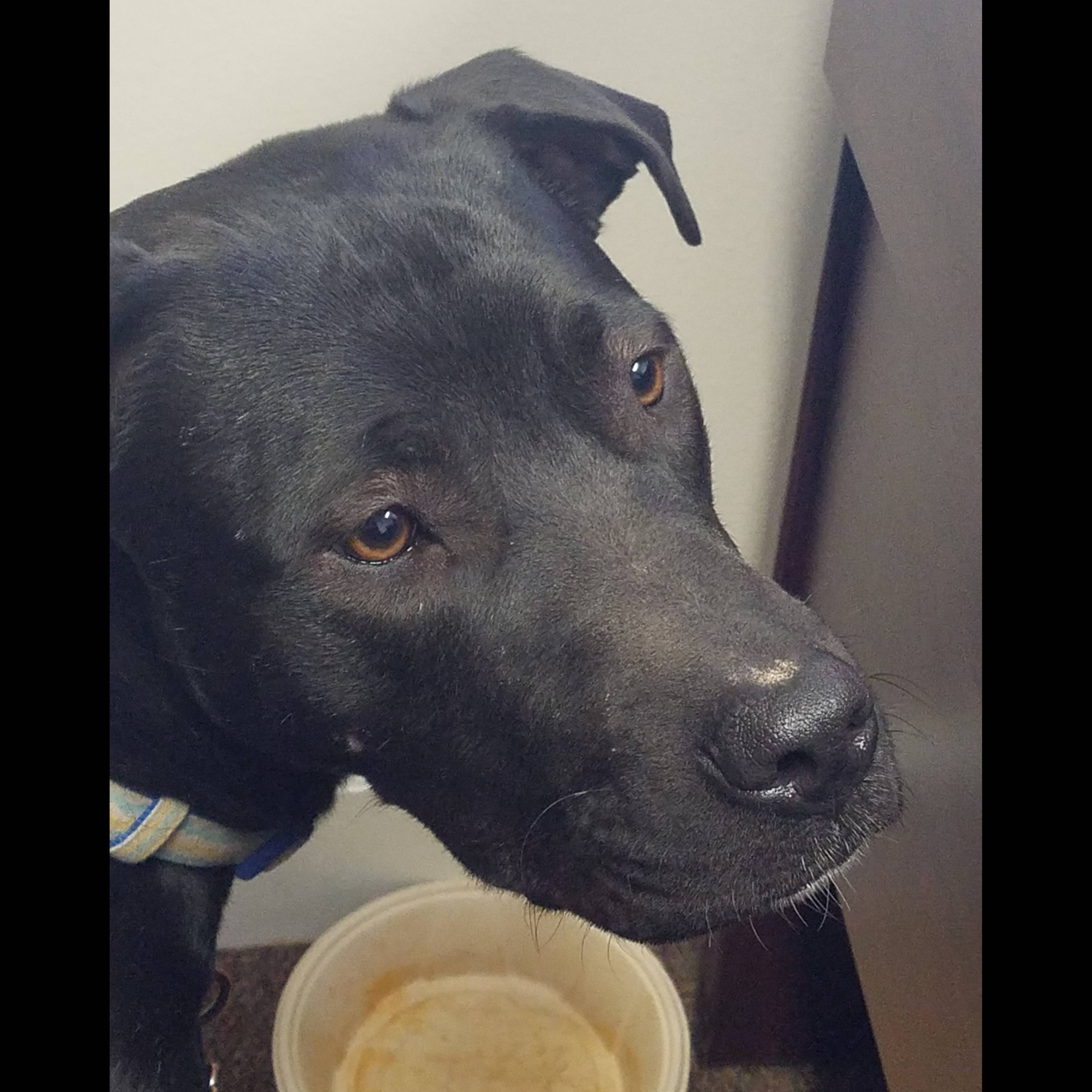 Photo 5 from CHILDSAFE COLORADO INC