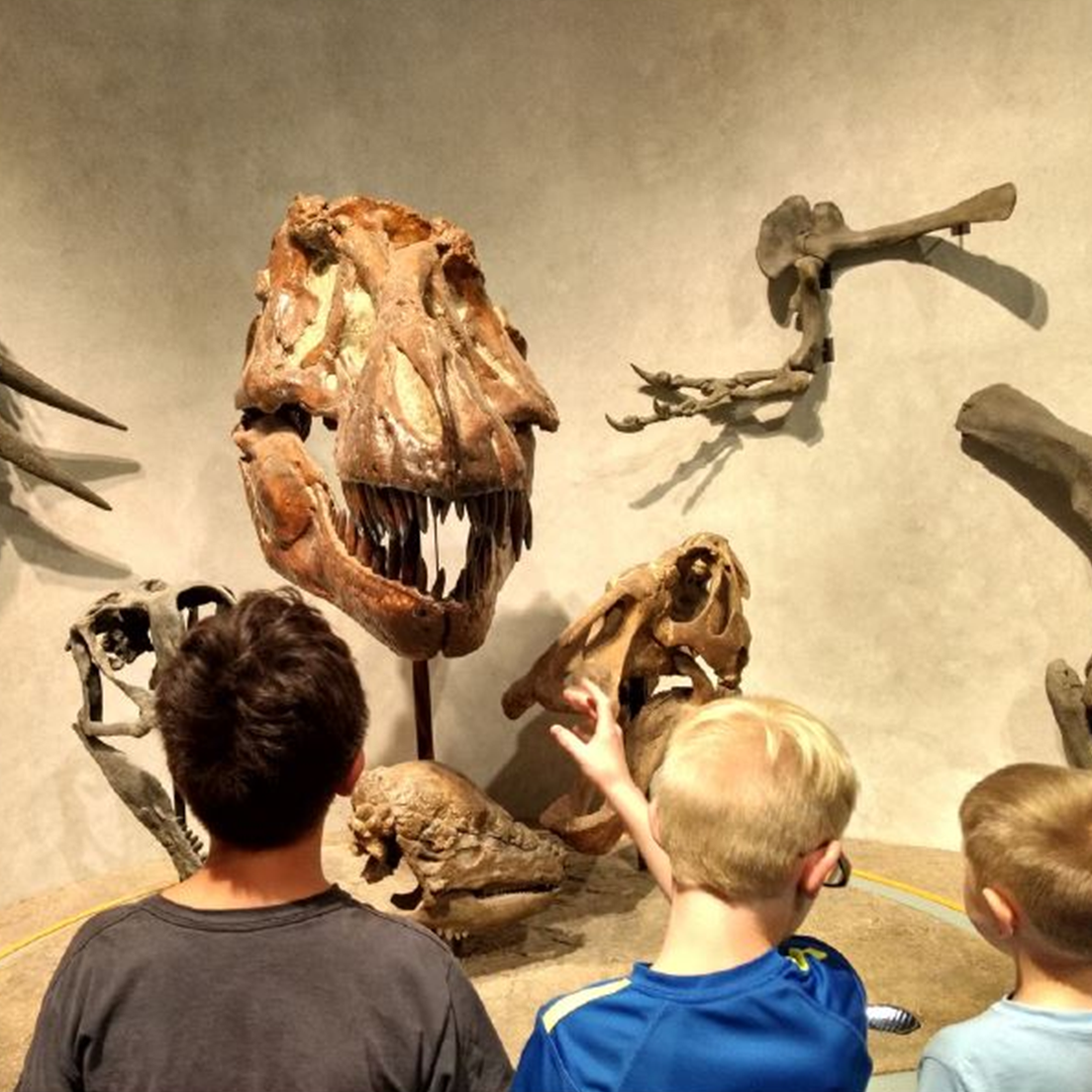 Photo 3 from Shiloh House