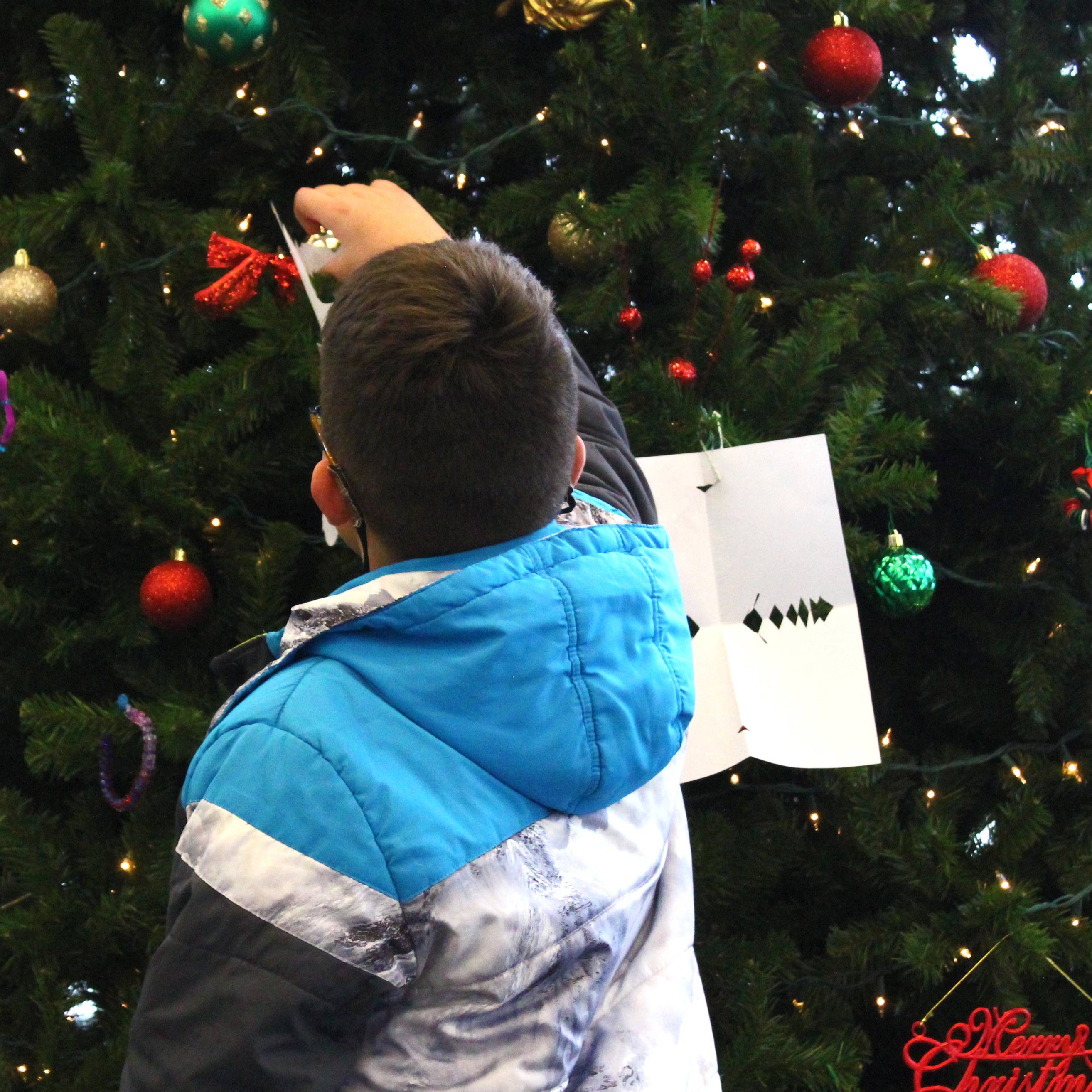 Photo 5 from Shiloh House