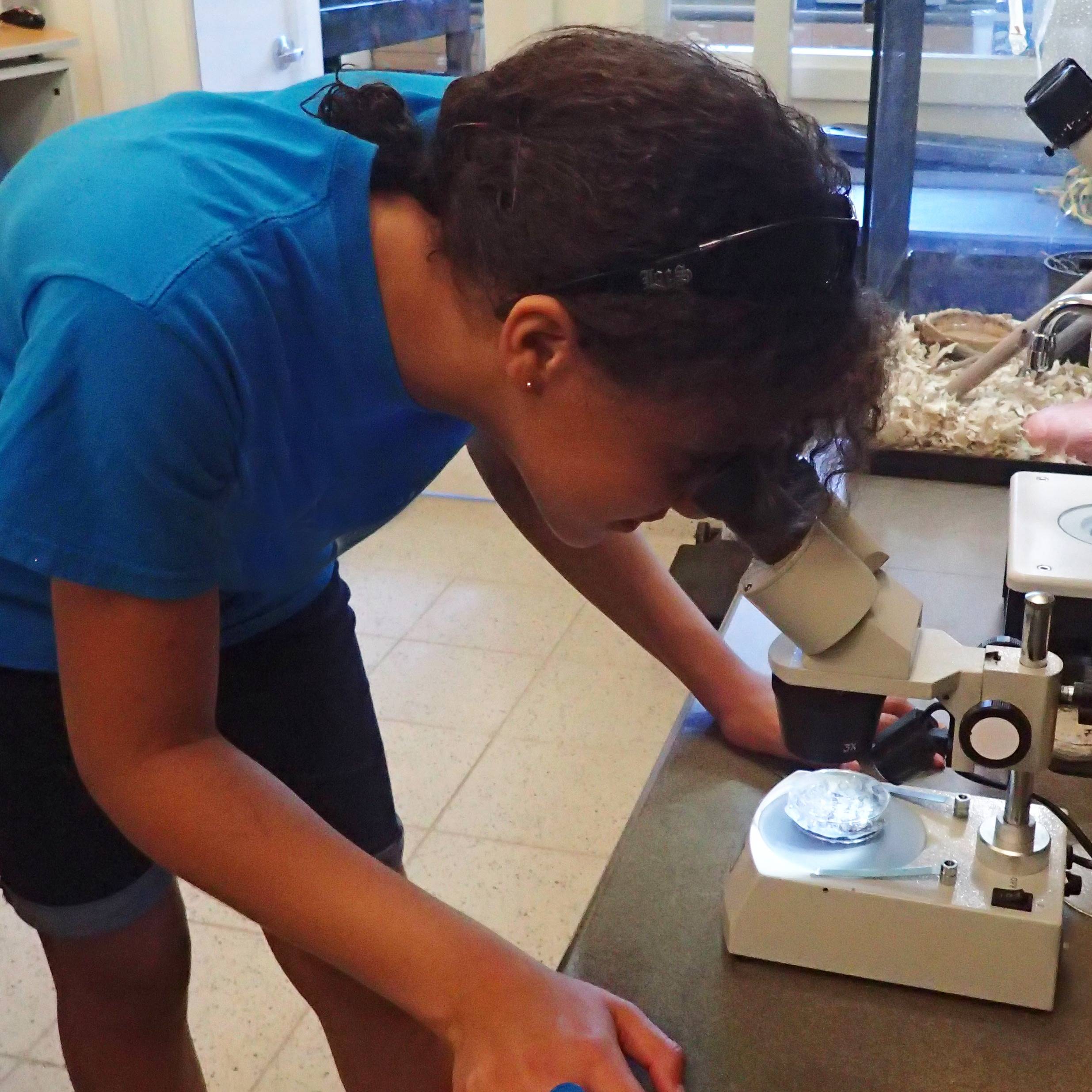 Photo 6 from Friends of MacArthur Beach State Park, Inc.