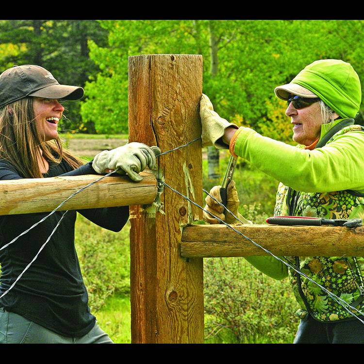 Photo 8 from GREAT OLD BROADS FOR WILDERNESS