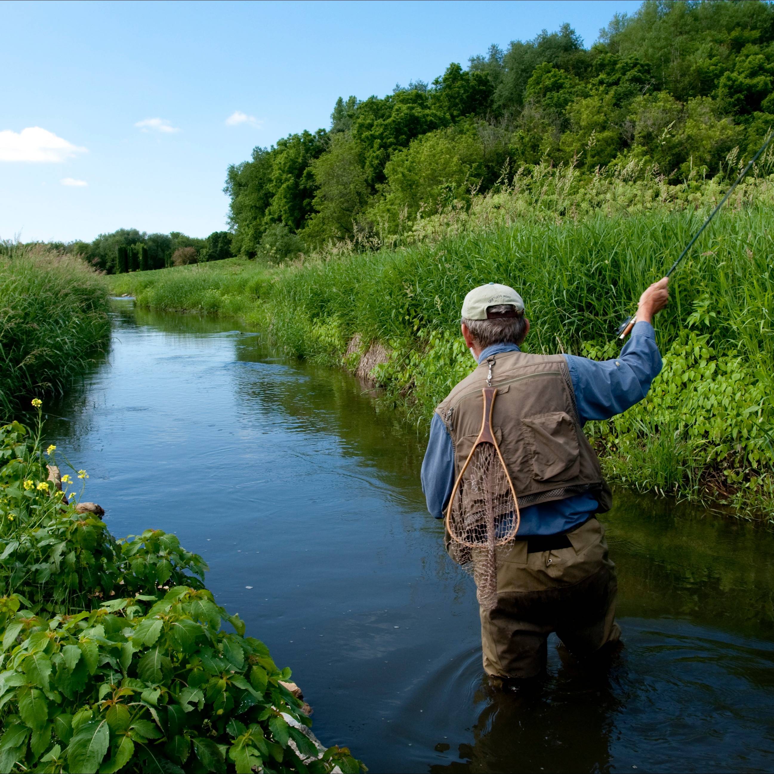 Photo 2 from Groundswell Conservancy
