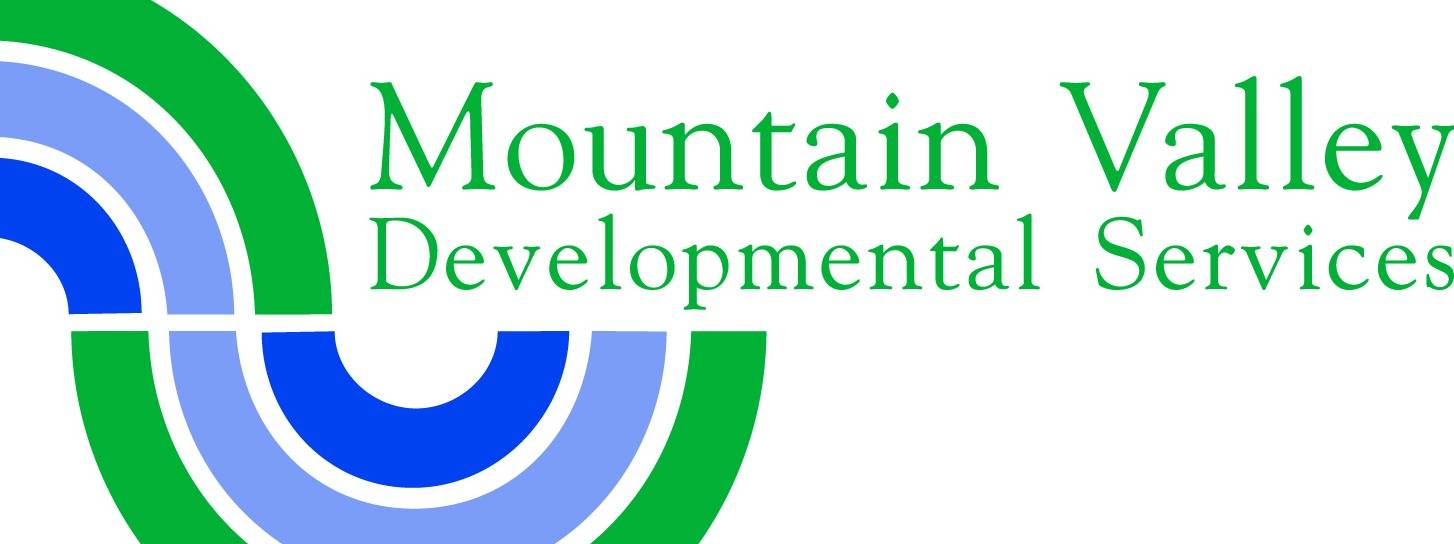 MOUNTAIN VALLEY DEVELOPMENTAL SERVICES INC cover