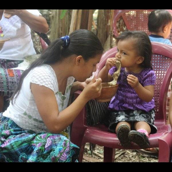 Photo 6 from Seeds for a Future