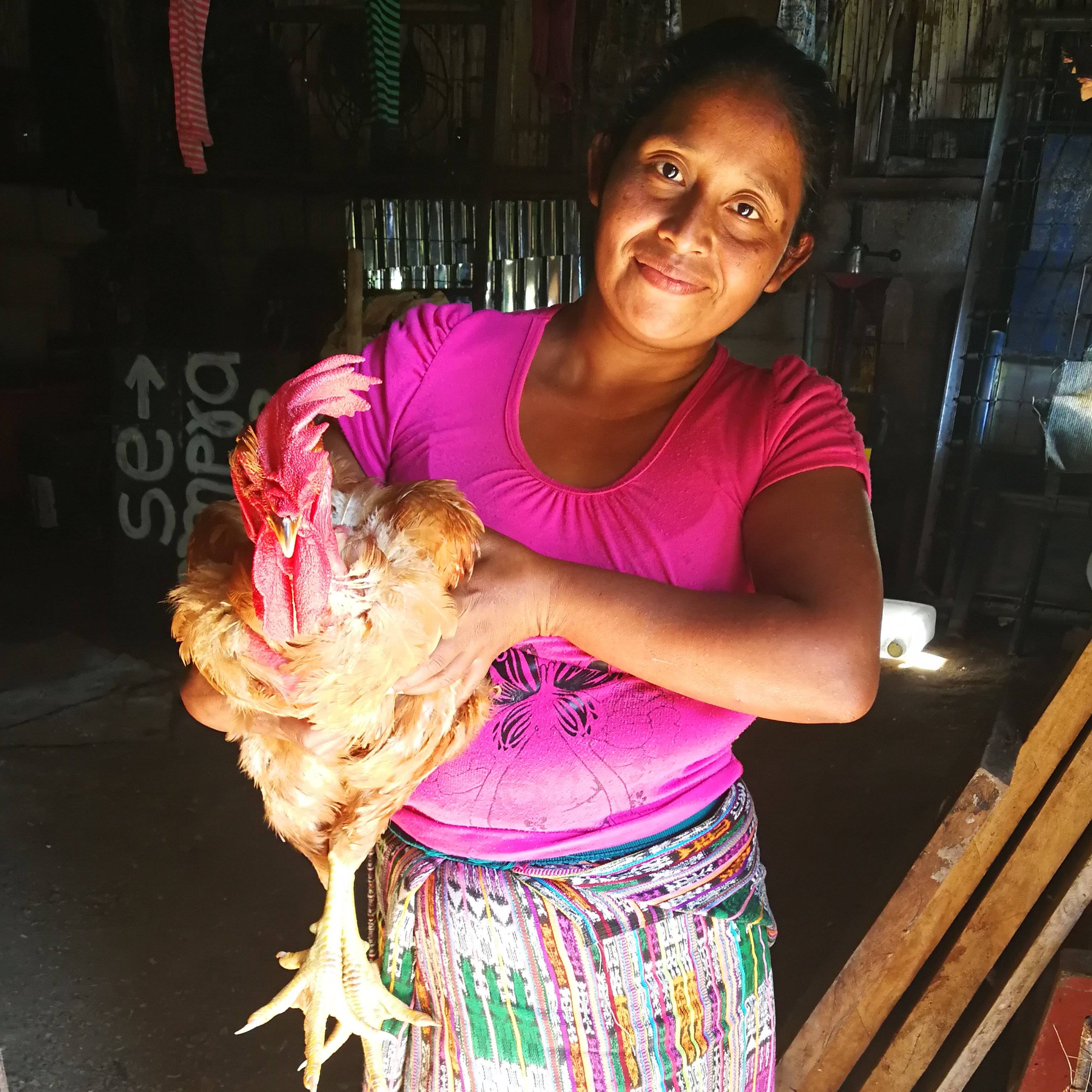 Photo 9 from Seeds for a Future