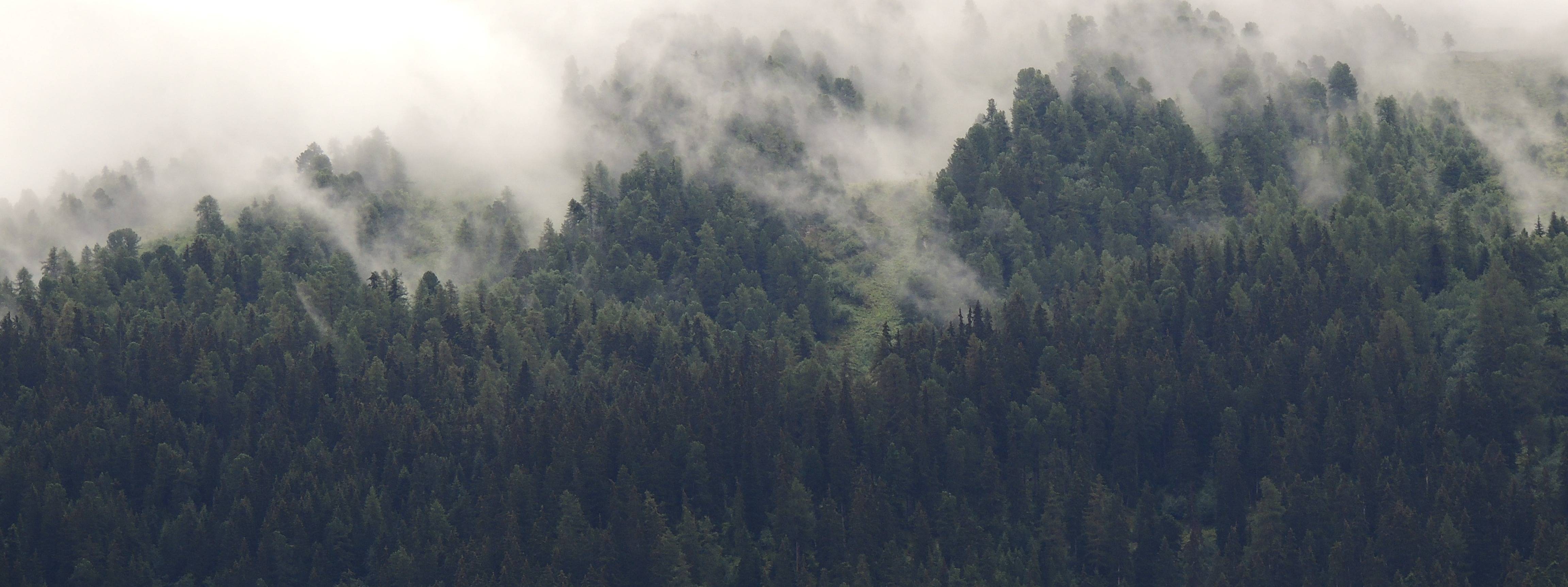 Uncharted International, Inc. cover