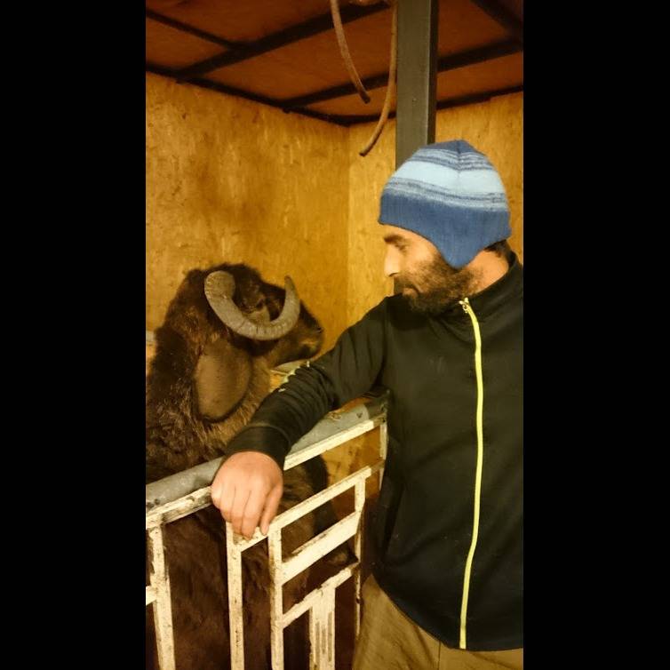 Photo 9 from CBS Lebanon