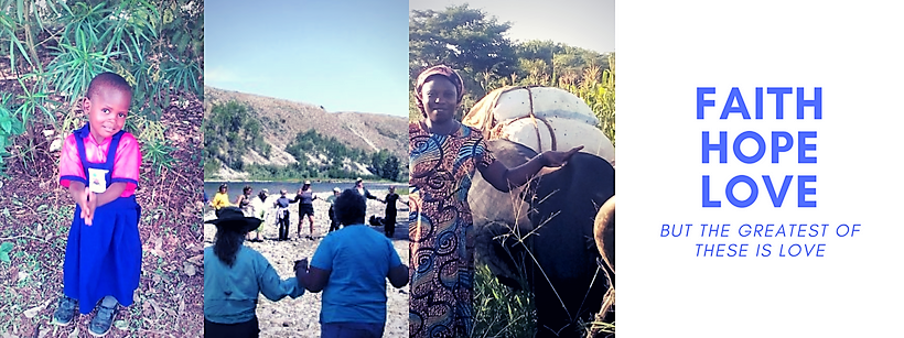 Seedlings of Change cover