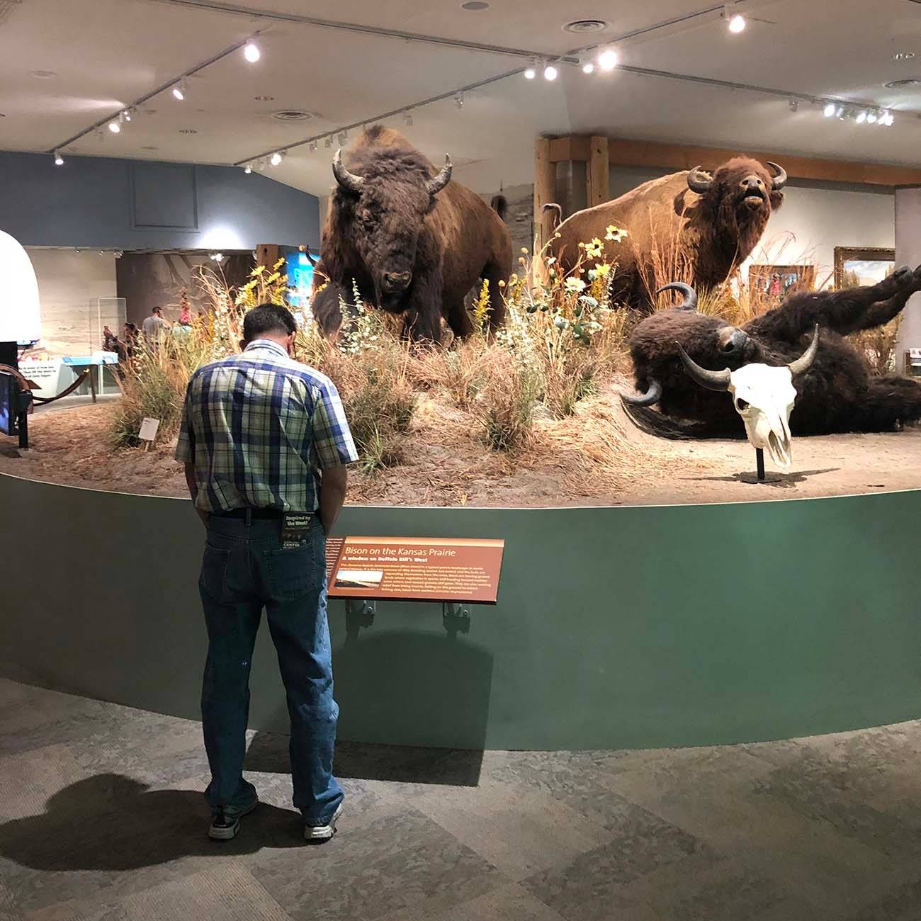 Photo 6 from Buffalo Bill Memorial Association