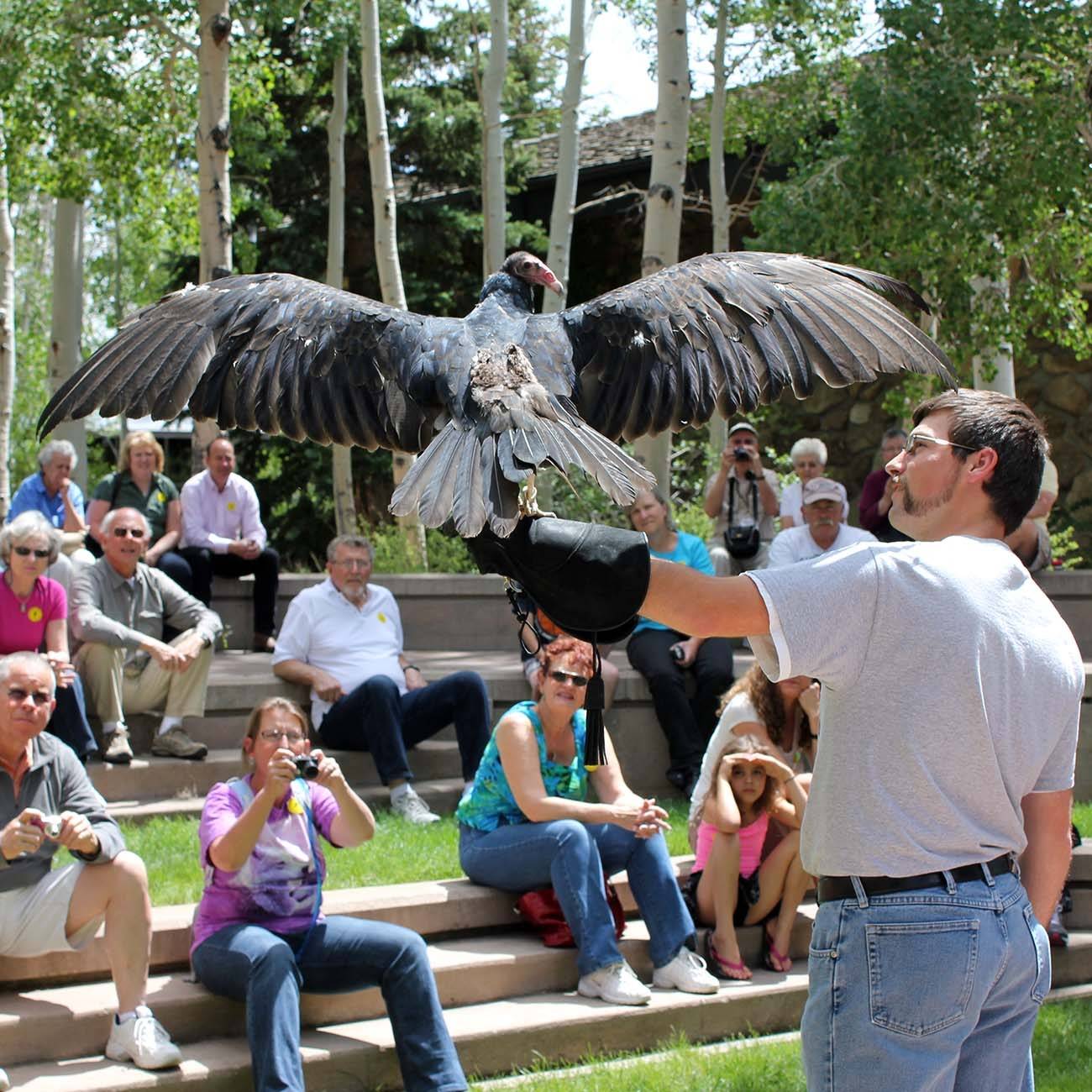 Photo 7 from Buffalo Bill Memorial Association