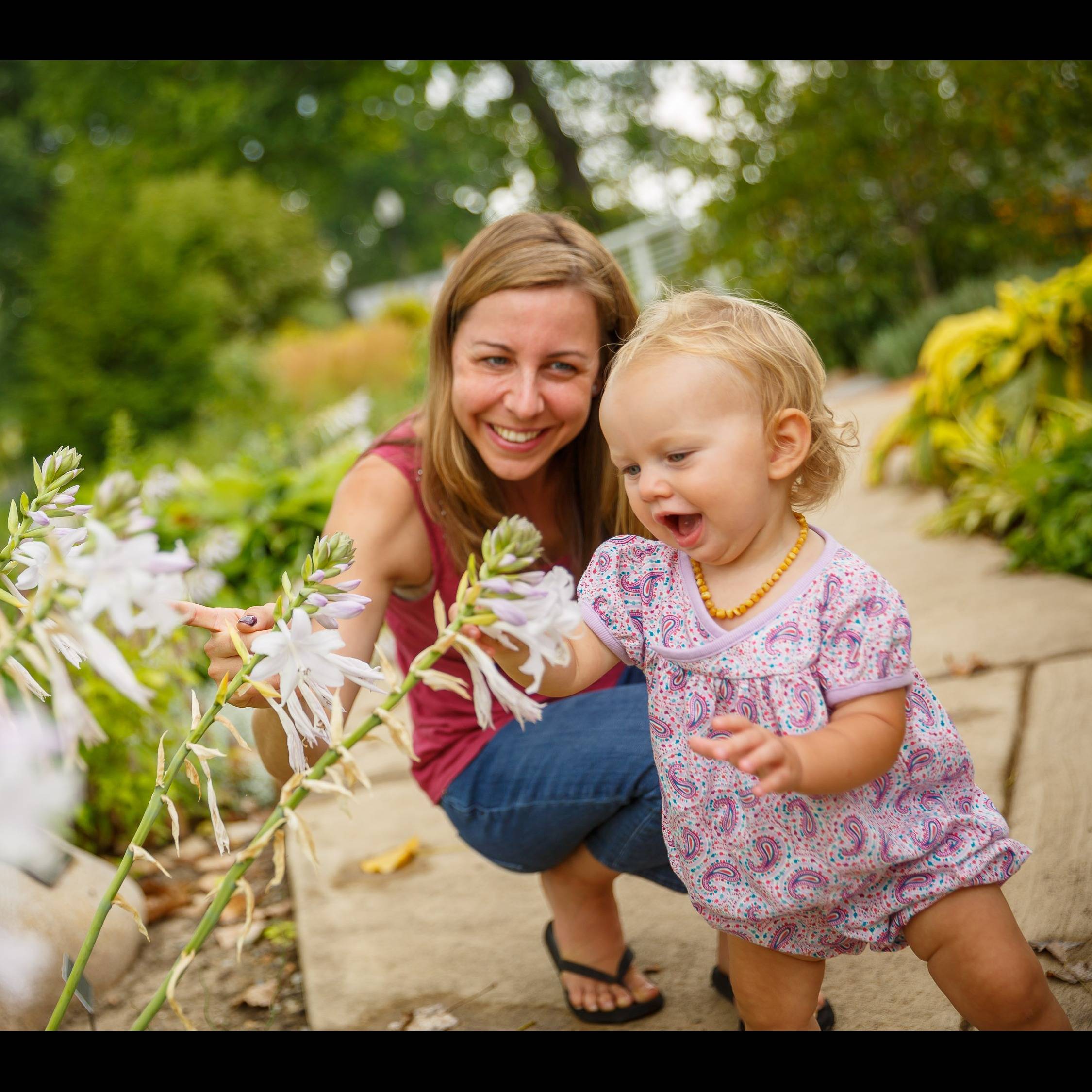 Photo 3 from Wellfield Botanic Gardens Inc