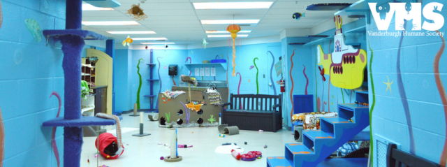 Vanderburgh Humane Society