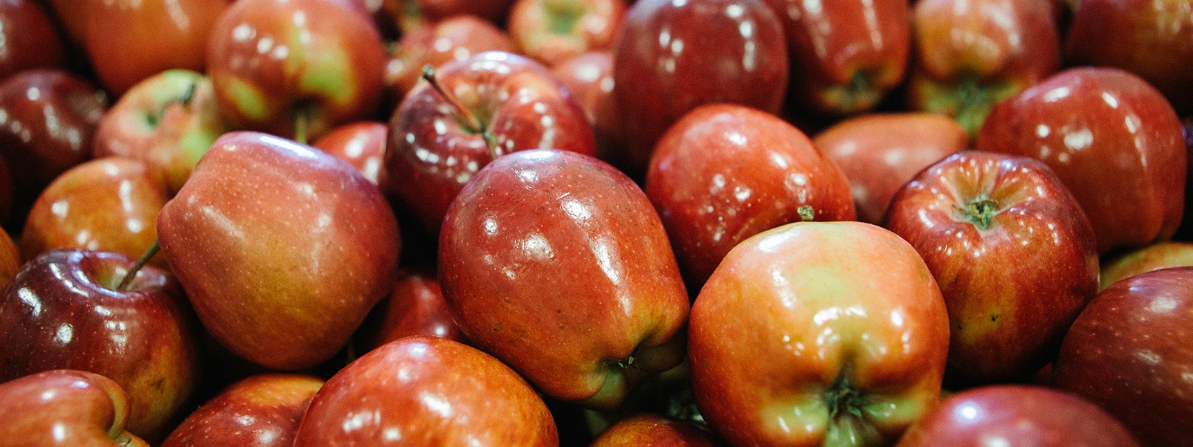 Community Food Share, Inc.