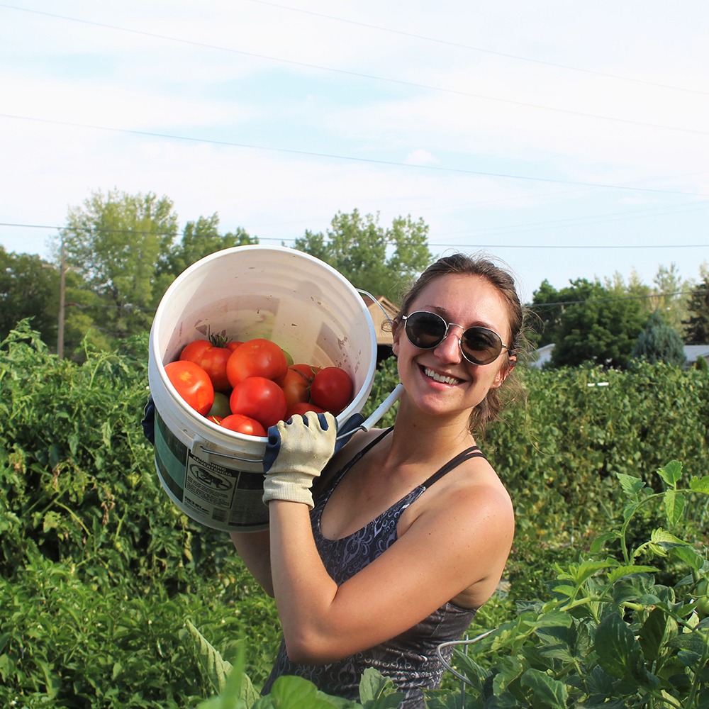 Photo 8 from Community Food Share, Inc.