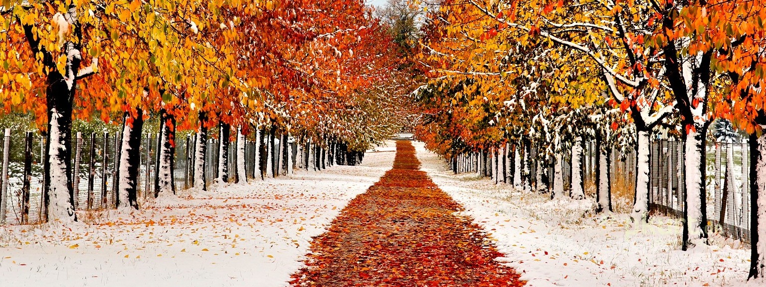 Well of GRACE Ministries