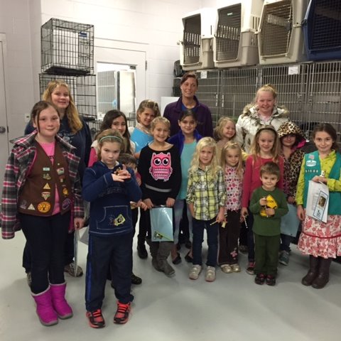 Photo 1 from WISHBONE PET RESCUE