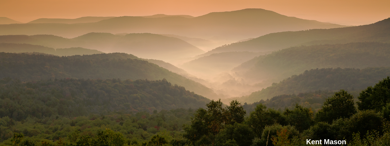 Friends of Blackwater Inc.