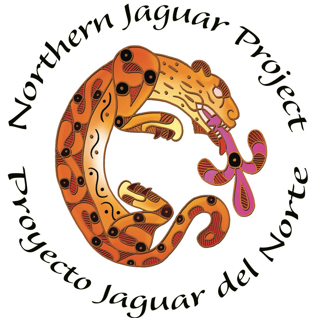 NORTHERN JAGUAR PROJECT