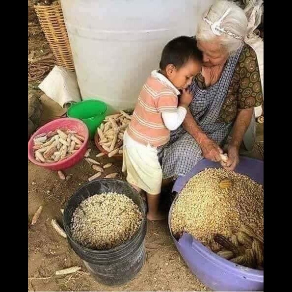 Photo 10 from Vida Para Todos Guatemala