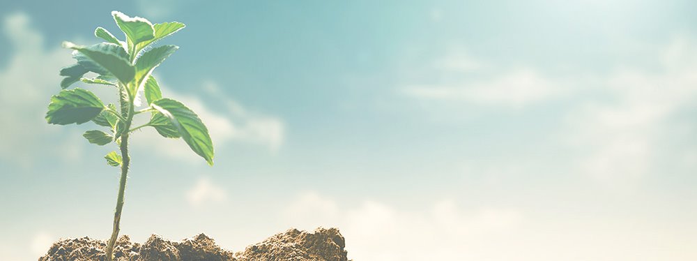 CAPE of Dutchess County, Inc.