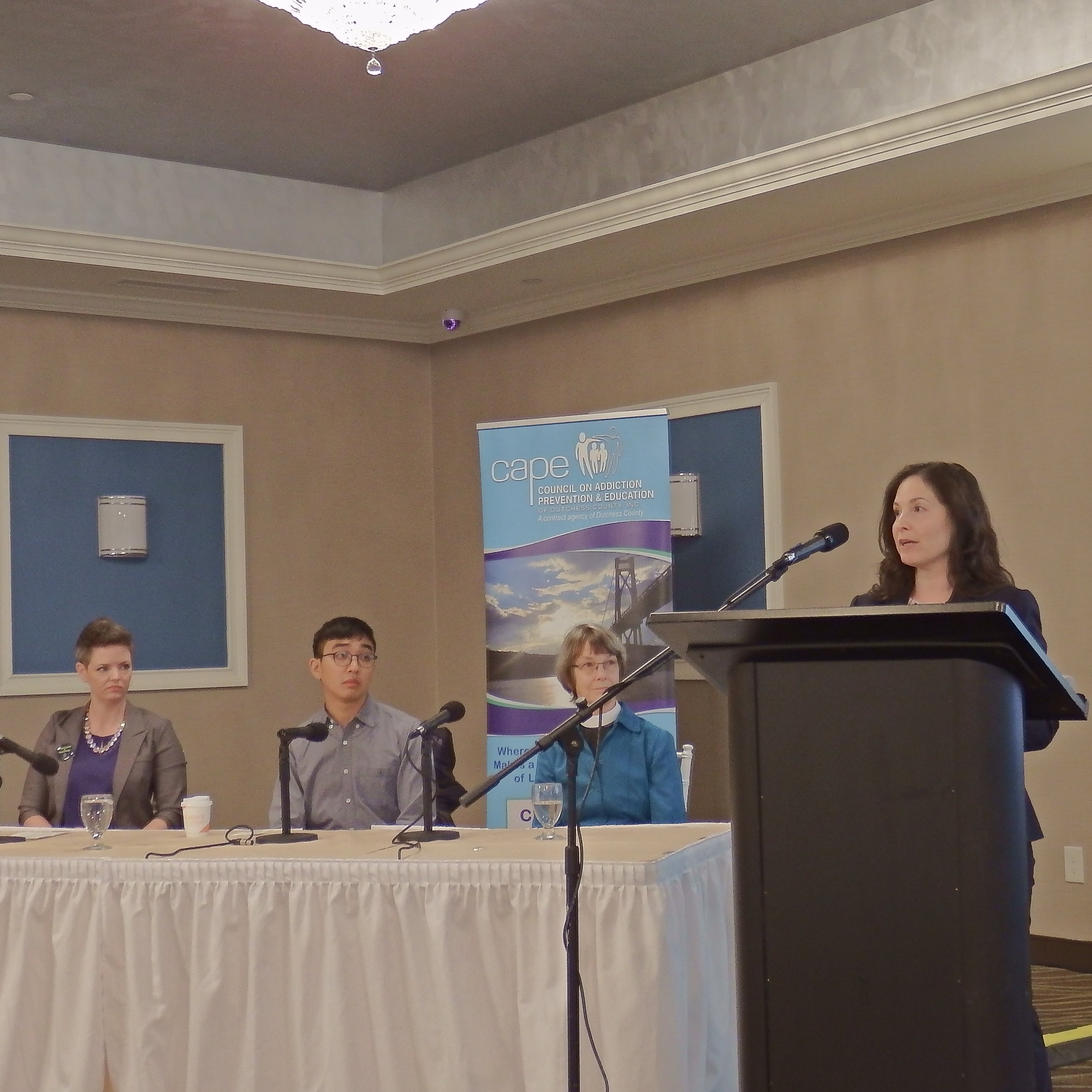 Photo 2 from CAPE of Dutchess County, Inc.