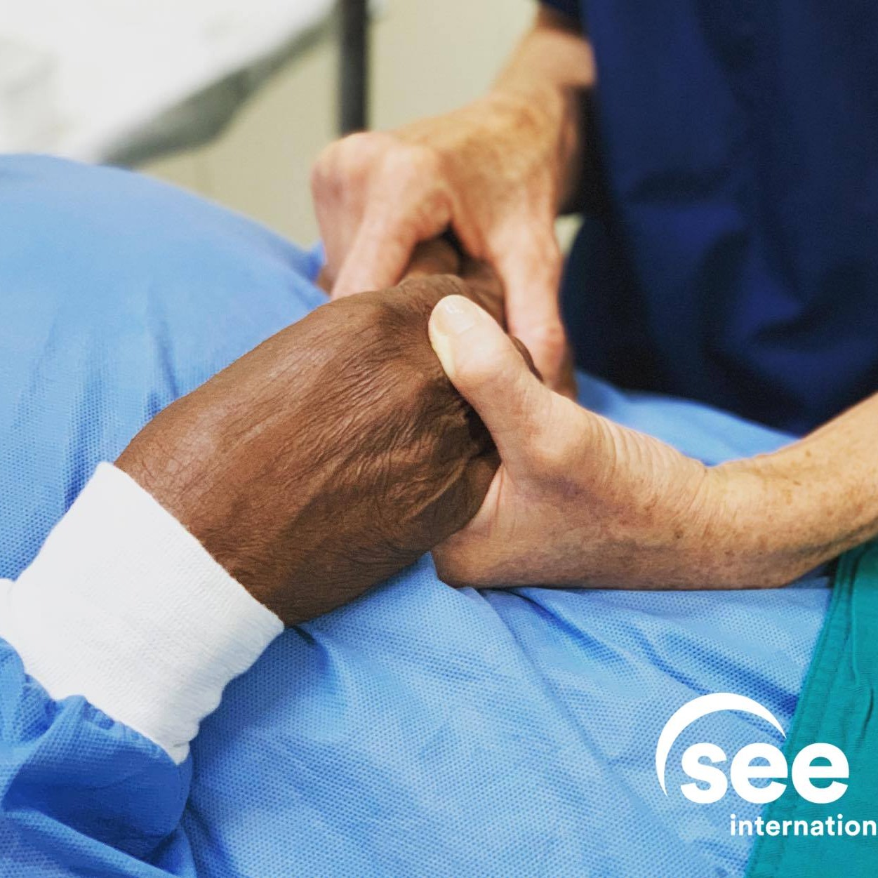 Photo 3 from SEE International