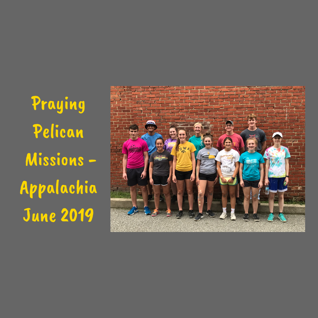 Photo 12 from Shelter of Hope