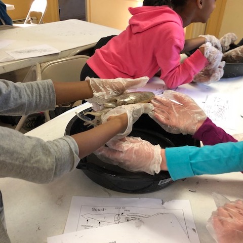 Photo 5 from Center For Sci Teaching