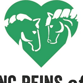 Spring Reins of Life, Inc. (Horses, Humans