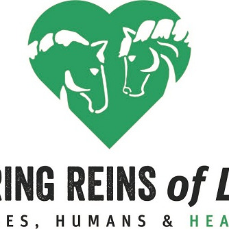 Photo 4 from Spring Reins of Life, Inc. (Horses, Humans