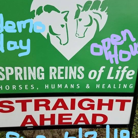 Photo 5 from Spring Reins of Life, Inc. (Horses, Humans